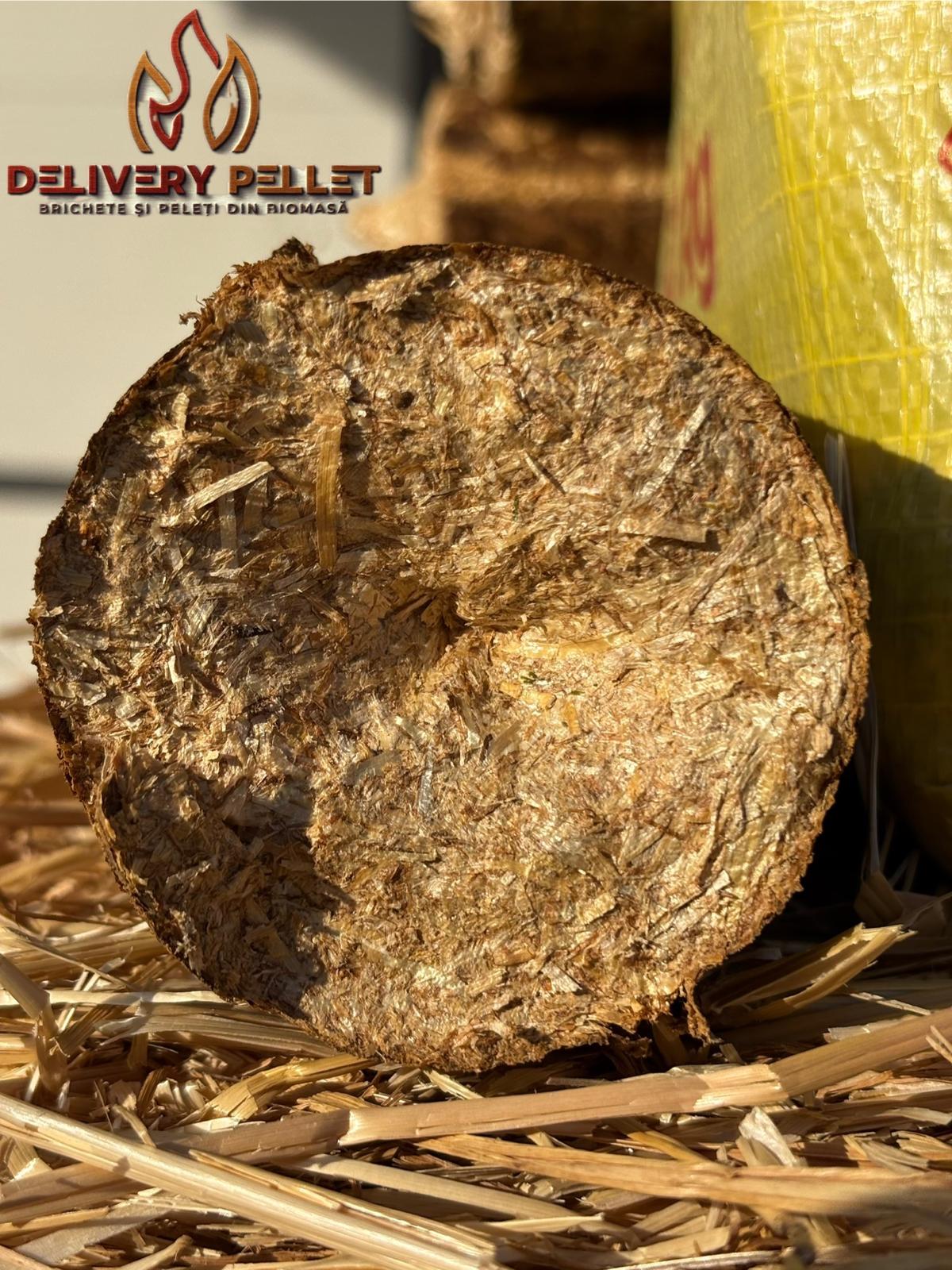 WhatsApp Image 2024-11-20 at 11.53.00 (2).jpeg